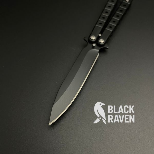 Метелик Obsidian Fly BB023 фото