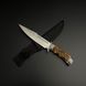 Мисливський WILDHORN AA037 фото 2
