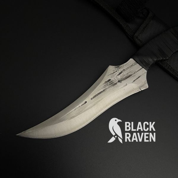 Коллекционный Hunter Fang DD018 фото